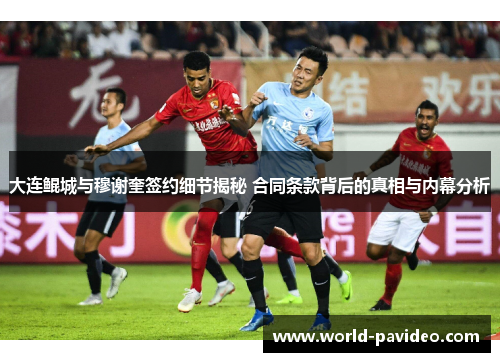 大连鲲城与穆谢奎签约细节揭秘 合同条款背后的真相与内幕分析