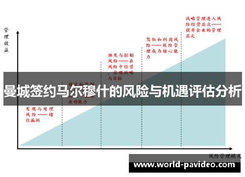 曼城签约马尔穆什的风险与机遇评估分析