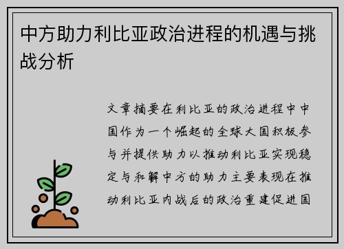 中方助力利比亚政治进程的机遇与挑战分析