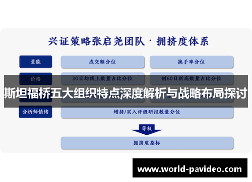斯坦福桥五大组织特点深度解析与战略布局探讨