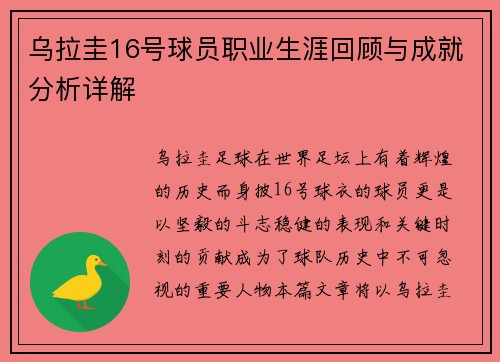 乌拉圭16号球员职业生涯回顾与成就分析详解 乌拉圭16号球员职业生涯回顾与成就分析详解