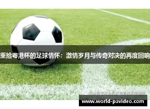 重拾粤港杯的足球情怀：激情岁月与传奇对决的再度回响